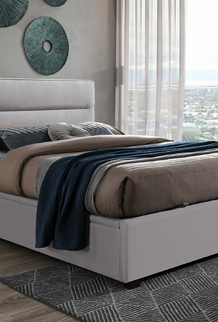 Hagan Gas Lift Bed