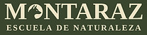 mtzlogo.jpg