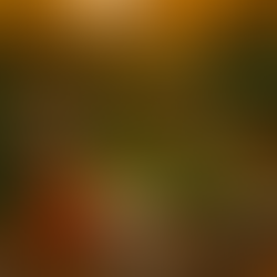 Raised garden beds filled with fall vegetables like kale and radishes, decorated with a “Welcome Fall” wooden sign, two knit pumpkins, and scattered autumn leaves. String lights and chickens roam in the background, capturing cozy homestead vibes in a golden-hour glow.