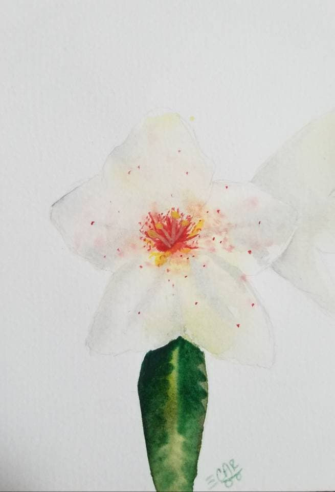 Thumbnail: Starburst Rhododendron Painting