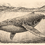Thumbnail: Vintage Whale Illustration Print