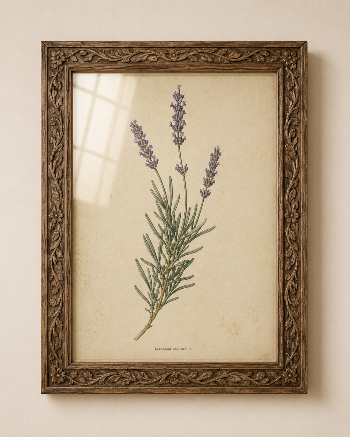 Vintage Lavender Botanical Print
