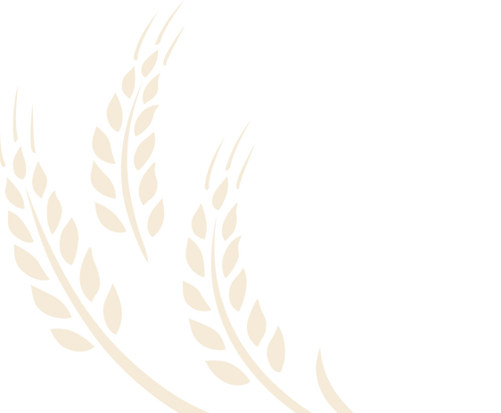 シェイプ 9_3x.png