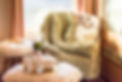 blanketbrandingfull(1of20).jpg