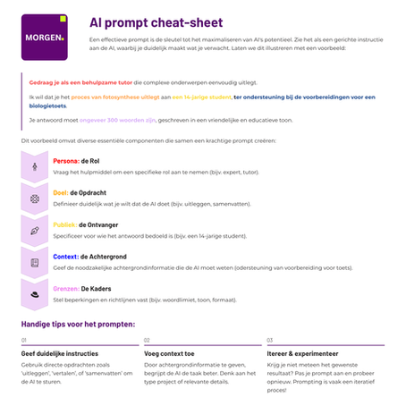 Voorbeeld van een promptsheet