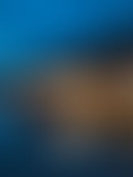 Queenstown wharf at evening light