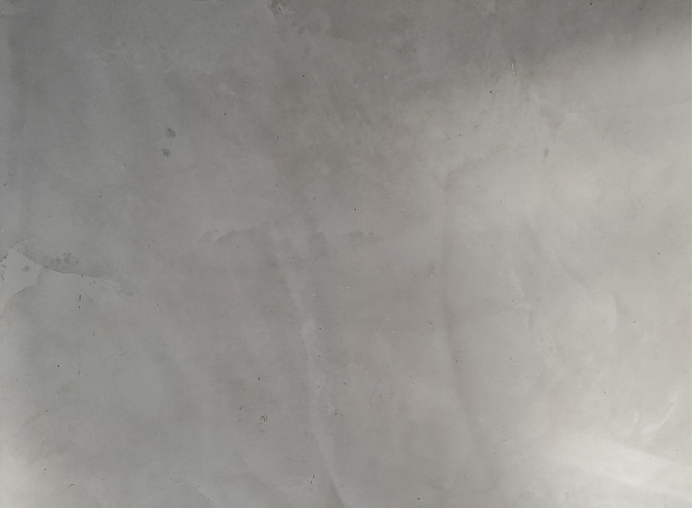 Homepage Art_edited.jpg