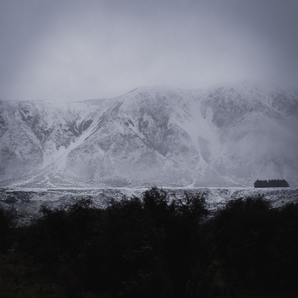 SnowCaps