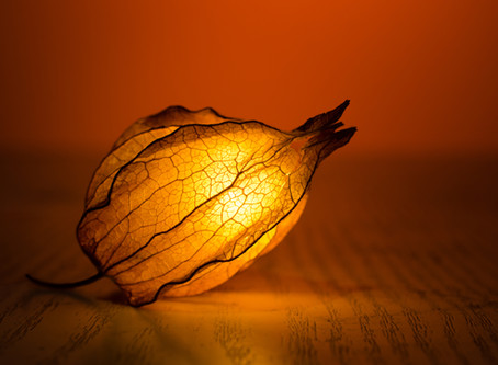 Tips for Staying Healthy This Fall