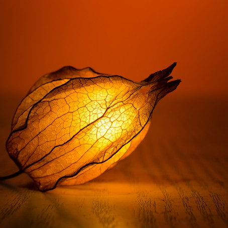 Tips for Staying Healthy This Fall