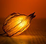 Illuminated Flower Bud