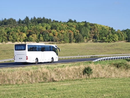 Empresa de ônibus Brasileira oferece viagens grátis para quem se cadastrar no app da empresa