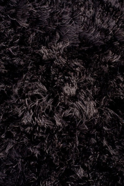 Miniatura: BABY SHAGGY 4444