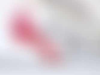 Promperú cerró 2025 con US$ 2,489 millones en compromisos de inversión extranjera directa