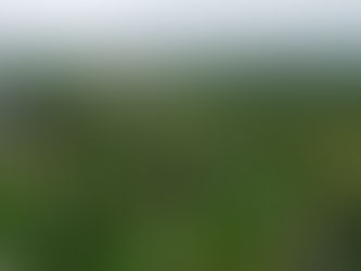 MINEM invertirá S/224 millones en electrificación en Amazonía