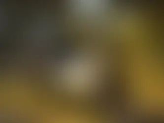 Líneas de metro y vías férreas proyectan inversión de US$ 520 millones para este año