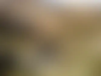 Kuya Silver modernizará mina Bethania