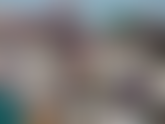 ZEE: Borrador del reglamento apunta a industria y ensamblaje ¿qué actividades están prohibidas?