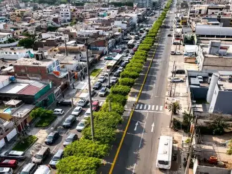 Renovación total de la Av. La Molina iniciará en junio con inversión de S/ 25 millones