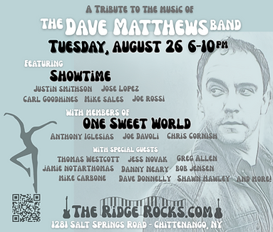 Dave Matthews tribute-4.png
