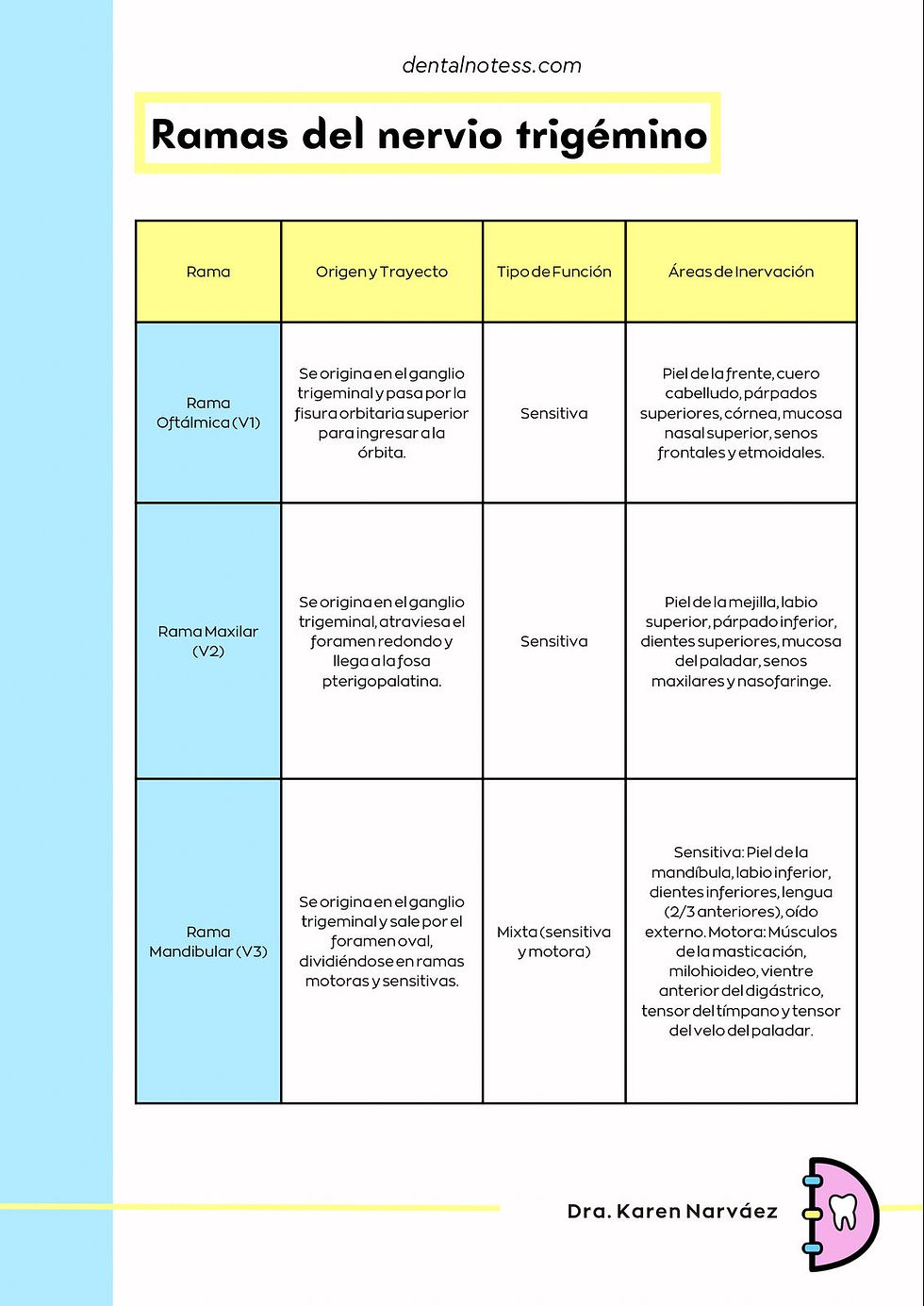 Thumbnail: Summary Trigeminal Nerve