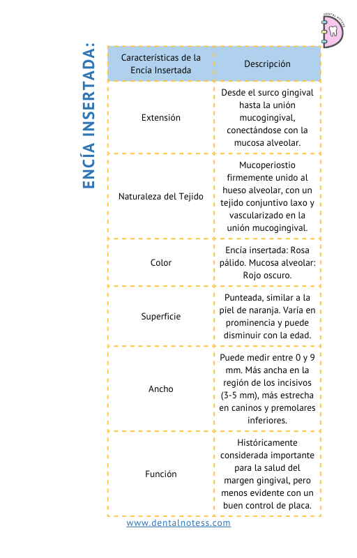 Thumbnail: Periodoncia