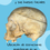 Miniatura: Anatomía del cráneo y sus huesos faciales