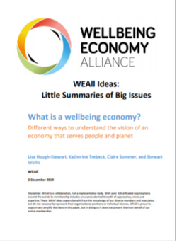Briefing- What is a wellbeing economy?