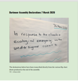 Dartmoor Assembly Declarations