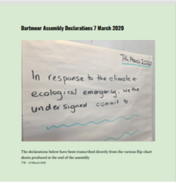 Dartmoor Assembly Declarations