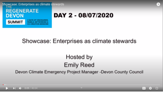 enterprises as climate stewards