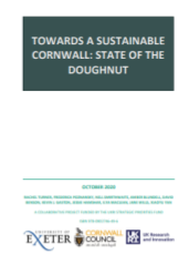 State of the Doughnut reportoughnut cornwall report cover.