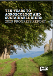 Agroecology and Sustainable Diets report