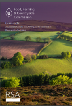 Devon Sustainable Food and Farming report
