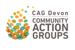 Community Action Groups Devon