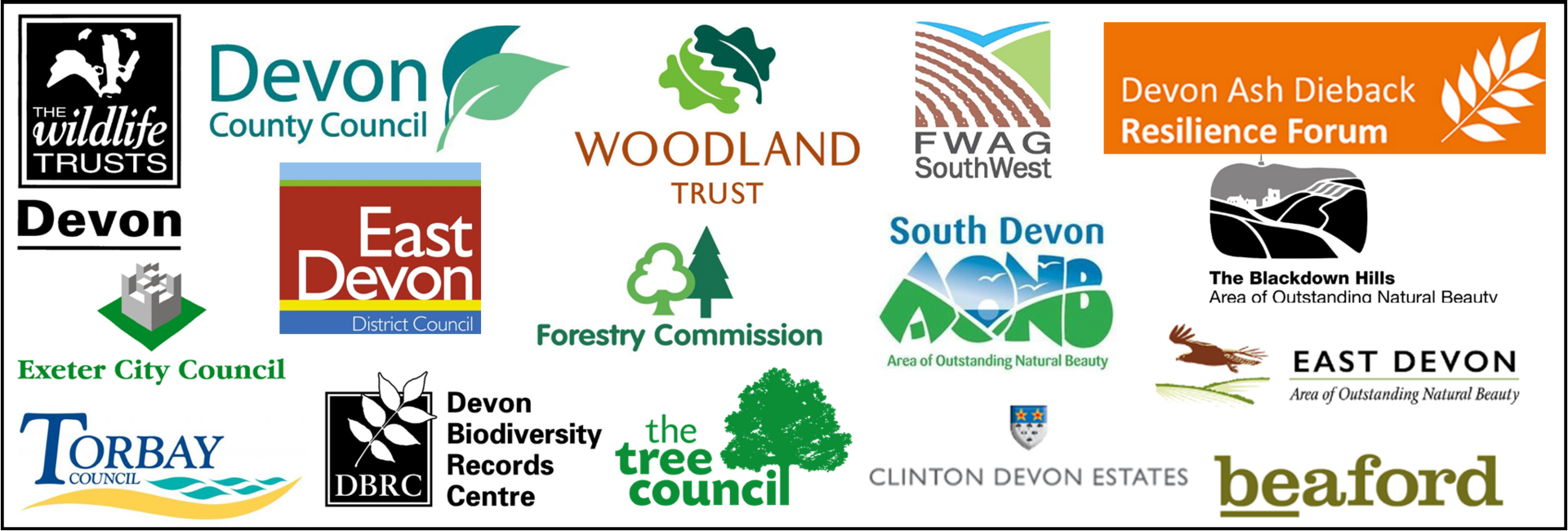 Saving Devon's Treescapes