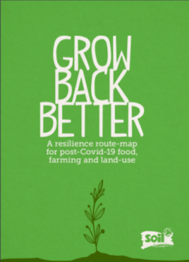 Grow Back Better report