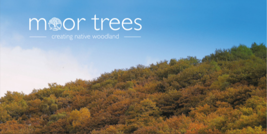 A New Vision for Dartmoor
