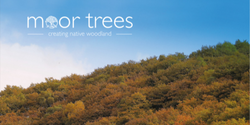 A New Vision for Dartmoor
