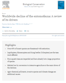 Global Insect Decline report