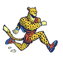 Un guépard runner