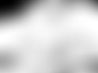 Rencontre au poulailler