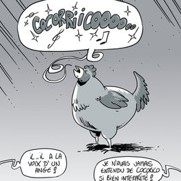 Chant divins au poulailler...