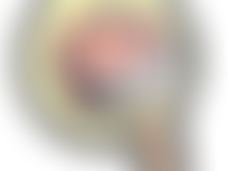 Images scientifiques IRM inédites du cerveau