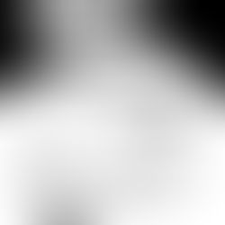 Une coquille particulière