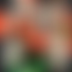 Japan feat.Halloween