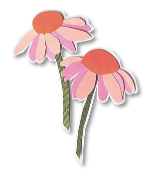 flowers for website.png