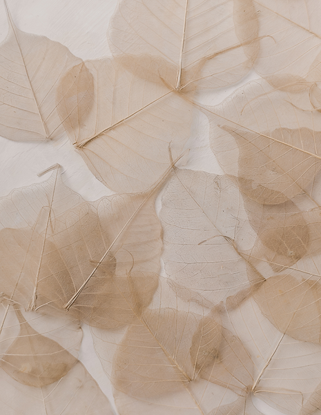 Untitled design(1).png