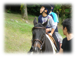乗馬