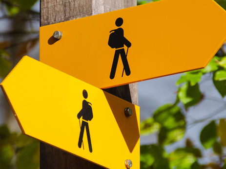 Startup or Lifestyle Business? How to Know the Difference